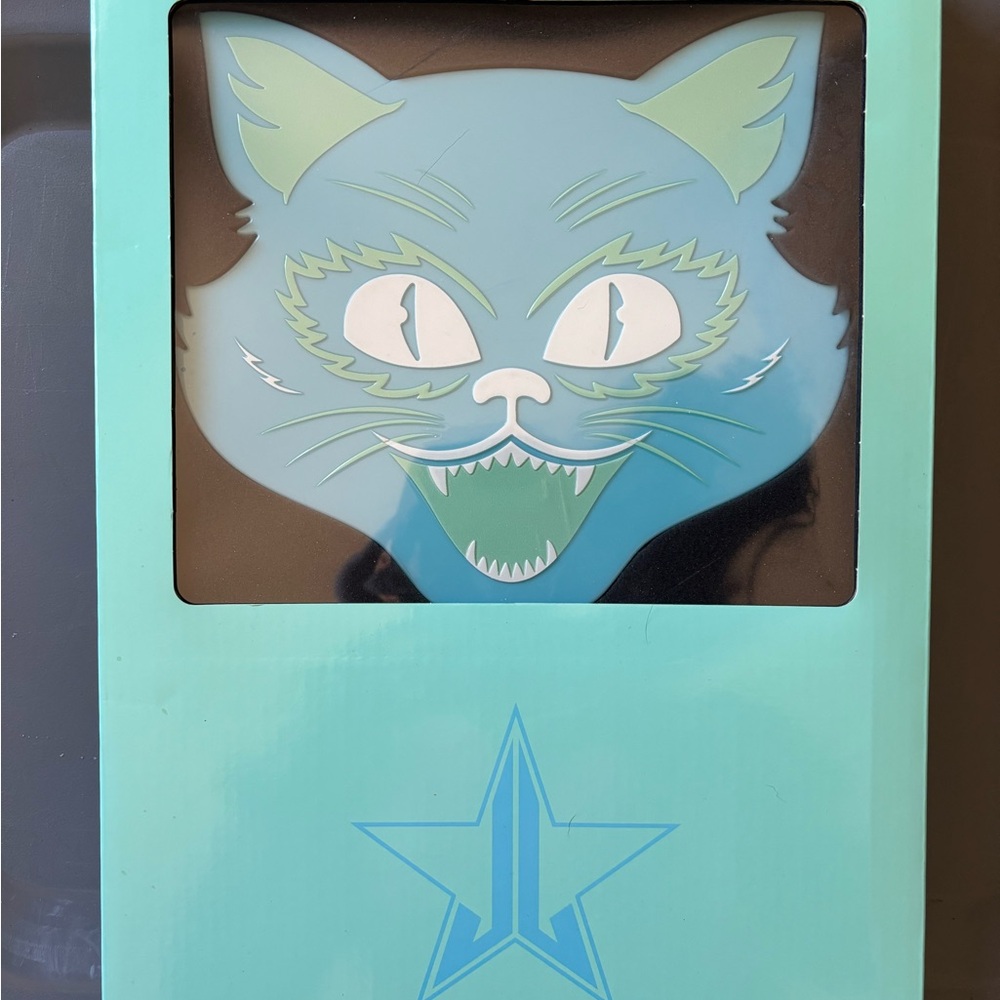 Blue Cat Mirror (Summer 2024)